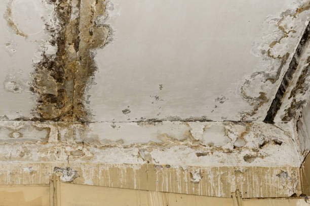 Best Indoor Air Quality Assessment  in Clarksville, VA