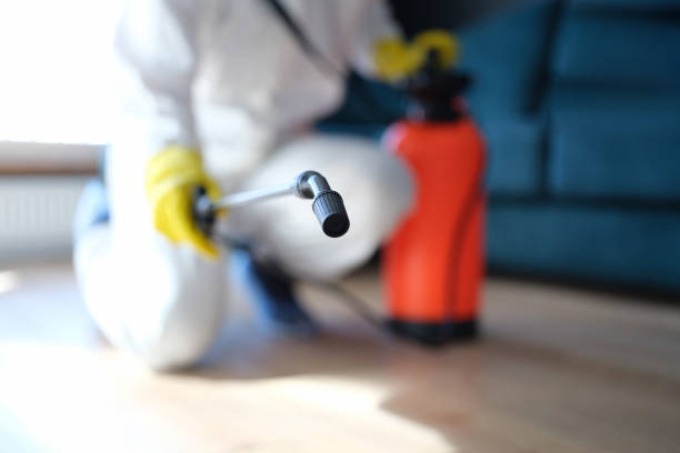 Best Residential Mold Inspection & Testing  in Clarksville, VA